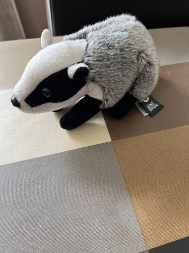 Living nature small badger - nature,