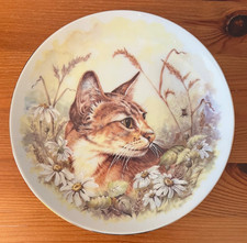 Shudehill Giftware: Cat Looking at Spider in a Web Plate Gold Rim 16cm Wide VGC