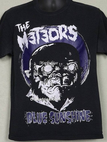 The meteors blue sunshine - meteors,