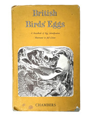 British Birds Eggs 1950s