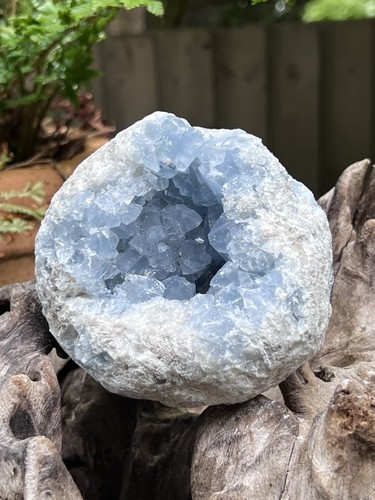 Celestite open cluster geode - celestite,