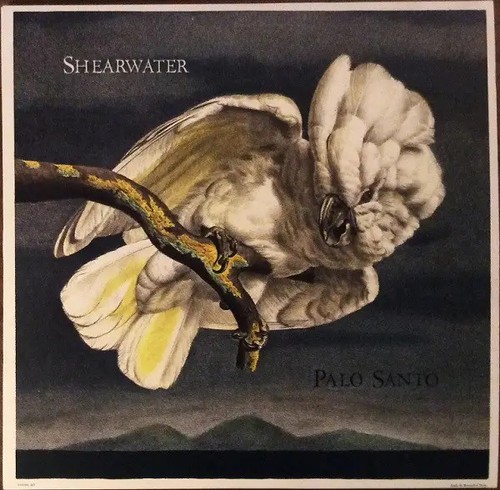 Shearwater palo santo - shearwater,