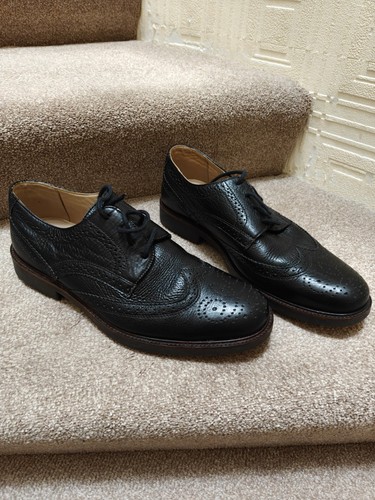 Brand new anatomic and - brand,