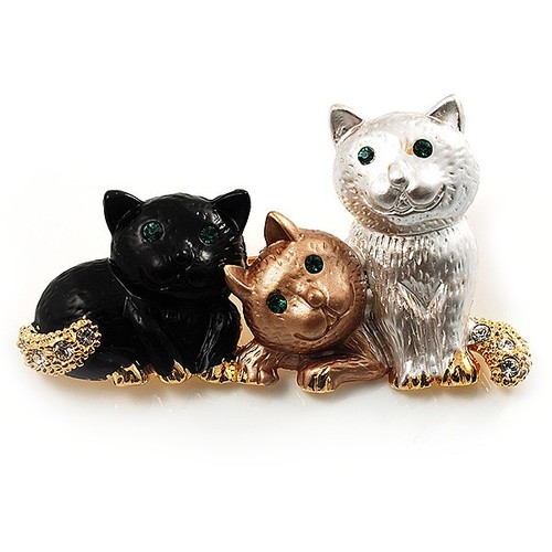 Adorable kittens fashion - 'adorable, kittens'