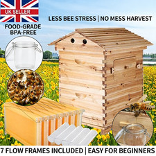 Auto Flow Honey Beehive Set |