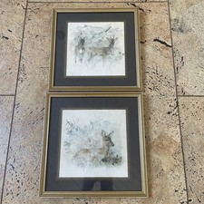 Pair Mads Stage Framed Deer