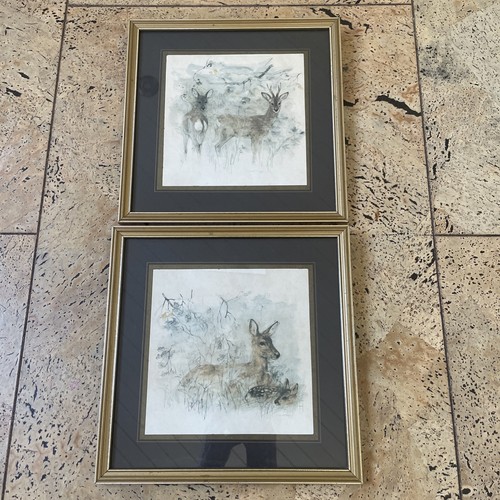 Pair mads stage - stage, deer