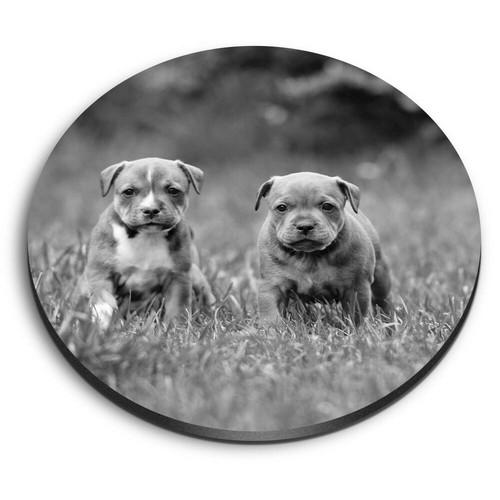 Round mdf magnets - round, bw