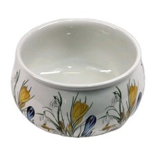 Portmeirion The Botanic Garden