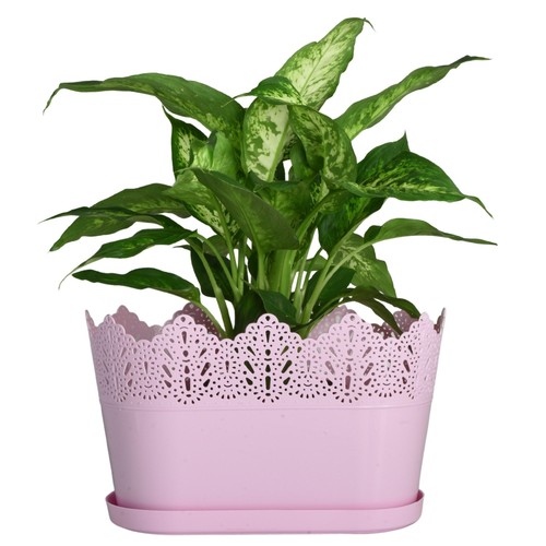 Oval flower pot - oval, planter