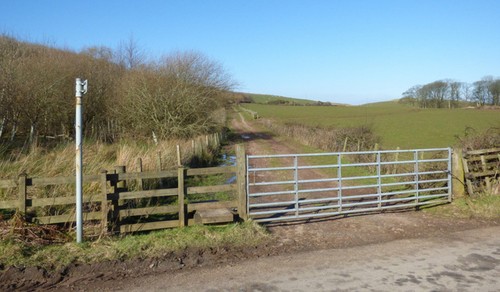 Photo 6x4 footpath horse - to,