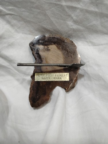 Vintage petrified forest - petrified,