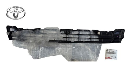 Oem grille radiator - oem, grille,