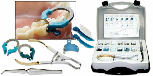 Palodent dental sectional - v3,