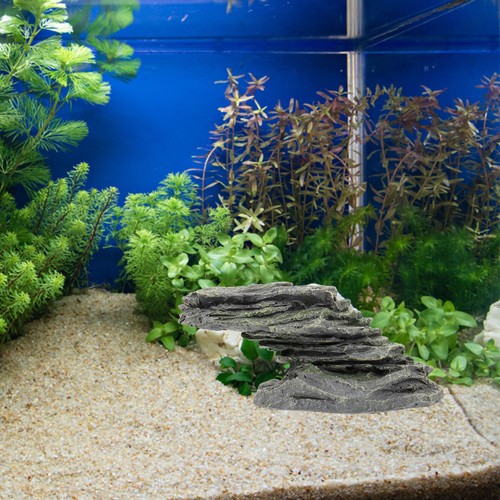 Turtle platform tank reptile - turtle,