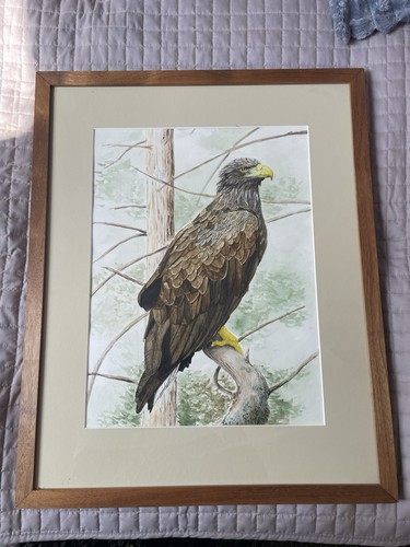 Large original watercolour - large,