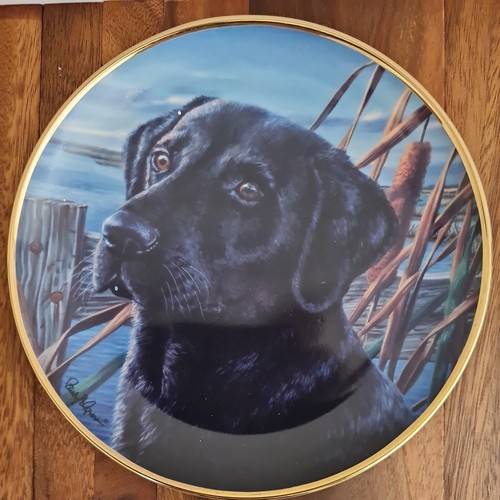 Plate black labrador - plate,