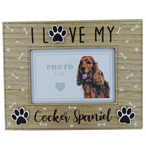 Cocker spaniel photo - cocker,