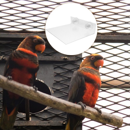 Bird parrot stand perch - stand, shower