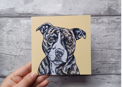 Staffordshire bull terrier - staffordshire,