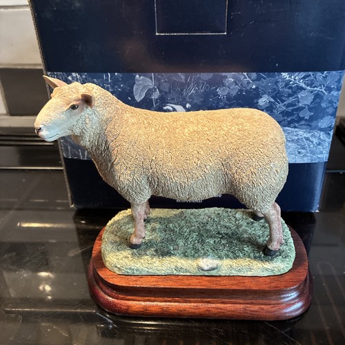 Border fine arts charolais ram - fine,