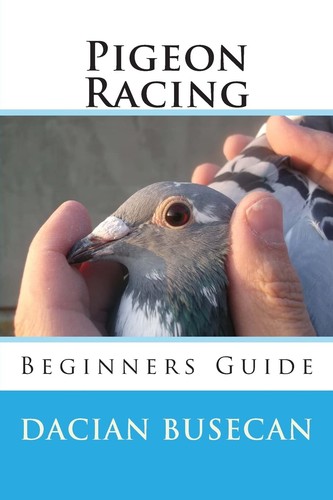 Pigeon racing beginners - pigeon, racing: