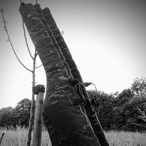 Carp life eclipse - carp,