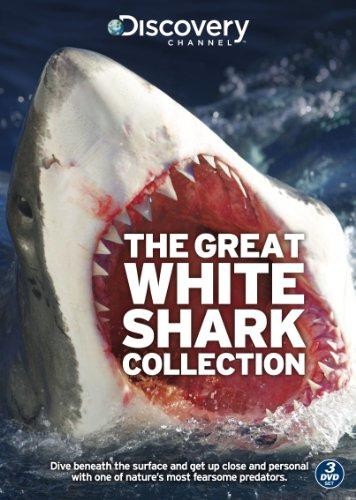 Discovery channel the - discovery,