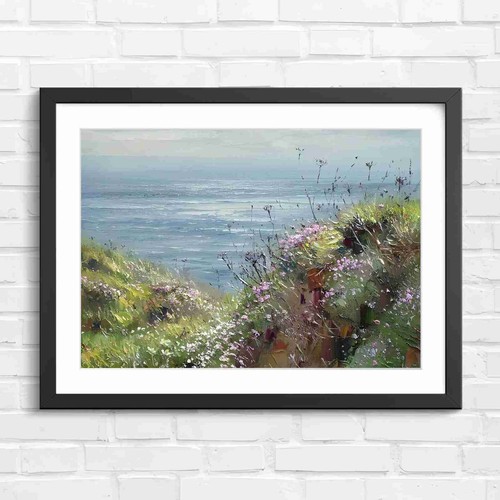 Seaside cliff wildflowers - cliff,