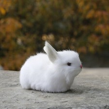 Plush Bunny Rabbit Realistic