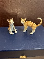 A Breed Apart Mini Cats X 2