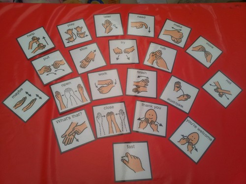 Sign language pec cards - 21,