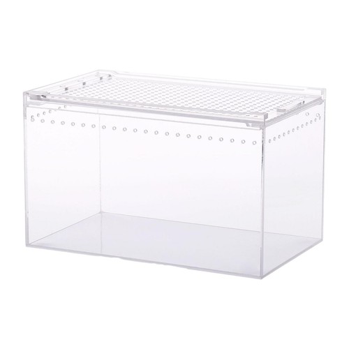 Reptile terrarium professional - reptile,
