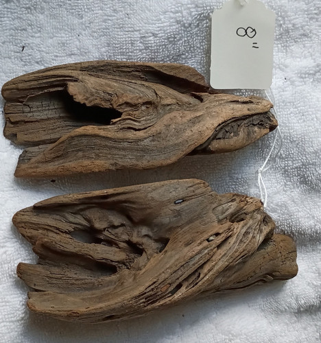 Natural driftwood pair lot of - pair, (lot
