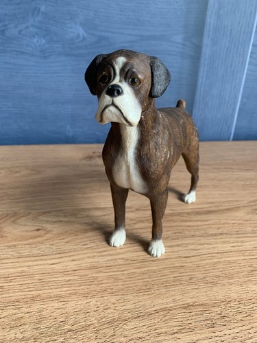 Leonardo collection boxer dog