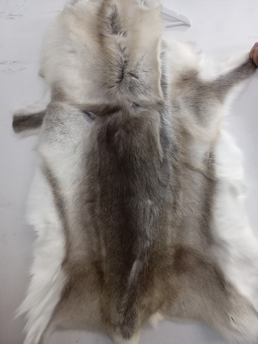Genuine reindeer skin - genuine,