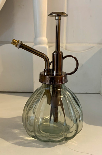 Clear glass metal plant - &,