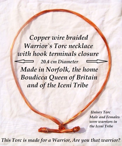 Made norfolk the iceni - norfolk,