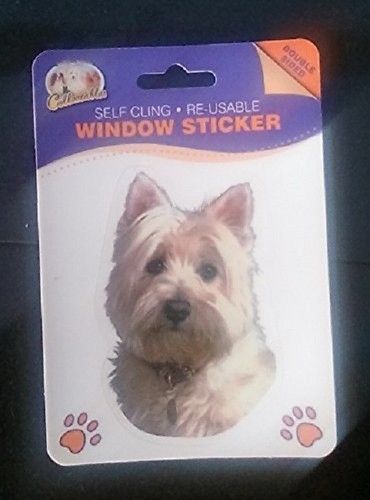 West highland terrier window - terrier,