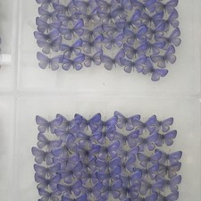 10-100 pcs natural Real