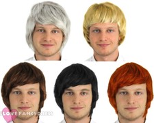 MENS SHORT WIG BOY BAND ADULT