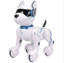Ziggy the Robo Dog Kids