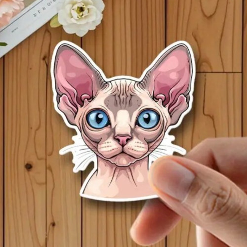 Cute sphynx cat - sphynx, decal