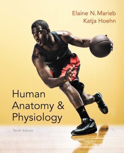 Human anatomy physiology - &,