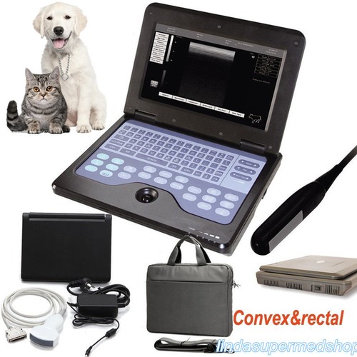 Veterinary equine bovine - veterinary, equine&bovine