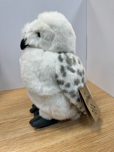 Harry potter owl hedwig - potter,