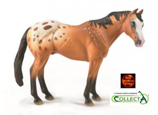 Appaloosa Stallion Light Brown