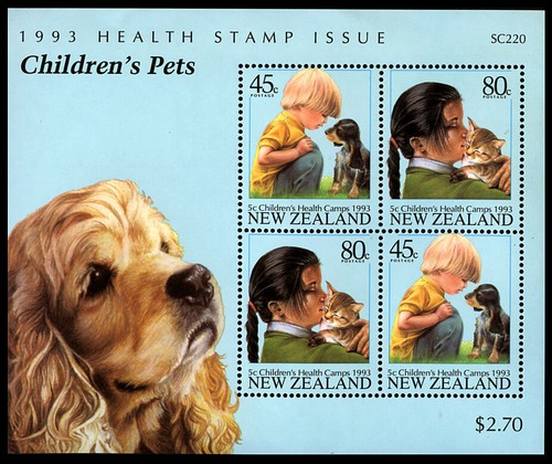 American cocker spaniel bleu - ,
