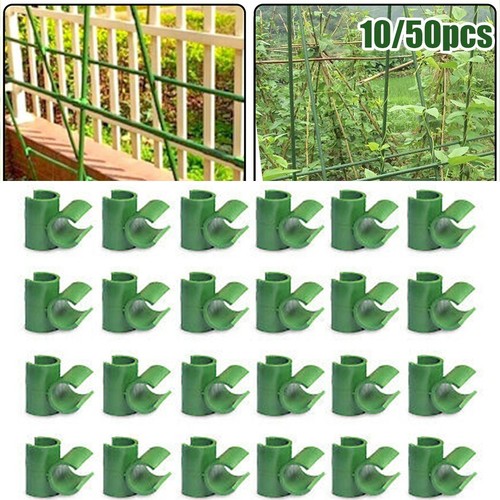 50pcs garden bamboo cane - 10/50pcs/garden,