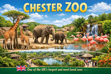 Brand New Chester Zoo Fridge